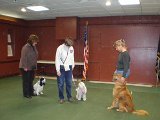 P4081054  Nassau Dog Training Club